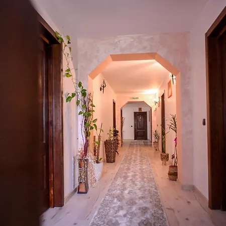 ゲストハウス Casa Isabela